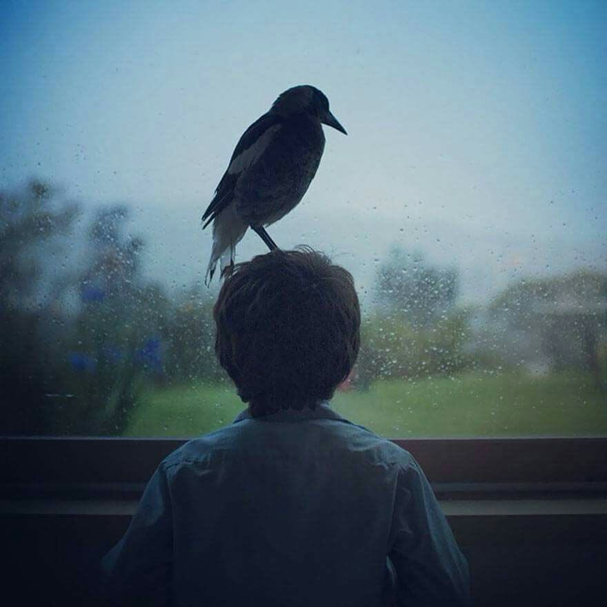photo de profil